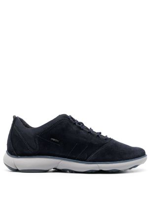Geox baskets Nebula - Bleu