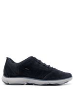 Geox baskets Nebula - Bleu