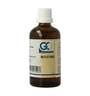 Intestino bio