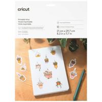 Cricut Printable Vinyl A4 Folieset Snijbreedte 29.7 cm Zilver
