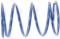 Polini drukveer clutch back pressure spri (spring blue)