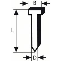 Nagel met verzonken kop SK64 55G, 1,6 mm, 55 mm, verzinkt 2500 stuk(s) Bosch Accessories 2608200506 Afm. (l x b) 55 mm x 1.6 mm