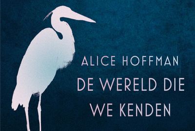 De wereld die we kenden - Alice Hoffman - Dwarsligger (9789049808020)