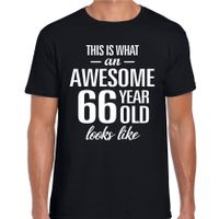 Awesome 66 year / 66 jaar cadeau t-shirt zwart heren Awesome 66 year / 66 jaar cadeau t-shirt zwart heren