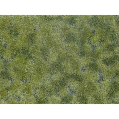 NOCH 07250 Bodembedekker Landschap bouw Groen (gemiddeld)