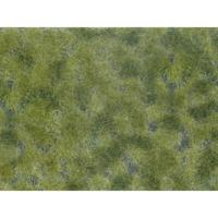 NOCH 07250 Bodembedekker Landschap bouw Groen (gemiddeld)
