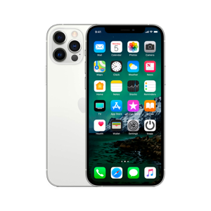 Refurbished iPhone 12 Pro Max 256 GB Zilver Licht gebruikt