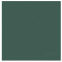 DDDDD Theedoek Logo Groen