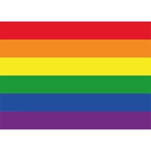 10x Stickertjes Regenboog vlag 10 cm   -