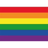 10x Stickertjes Regenboog vlag 10 cm   -