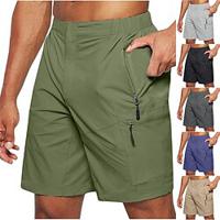 Voor heren Cargoshorts Wandelshorts Tactische shorts Militair Buiten Normale pasvorm waterdicht Sneldrogend Short / Broekje Elastische taille Zwart Leger Groen Jagen Klimmen Kamperen / wandelen Lightinthebox