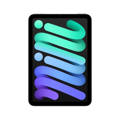 Apple iPad mini 256GB WiFi grijs Apple iPad mini 256GB WiFi grijs