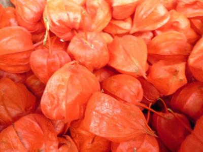 Lampionnetjes 20 stuks - Warentuin natuurlijk
