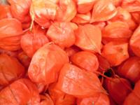 Lampionnetjes 20 stuks - Warentuin natuurlijk