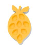 HEMA Ijsklontjesmaker citroen