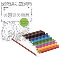 6x Maskers om in te kleuren met potloden voor kinderen   -