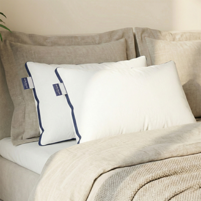 Hoofdkussens Royal Blue Comfort - Set Van 2 - Voor Rug- En Zijslaper - Microvezel - Anti-allergisch & Licht En Onderhoudsvriendelijk - Dekbed-Discounter.nl