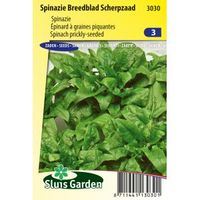 Spinazie (breedblad) zaden - thumbnail