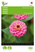 Zaden zinnia lilliput rose gem 1 gram - Buzzy
