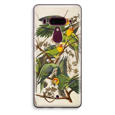 Carolinaparkiet: HTC U12+ Transparant Hoesje