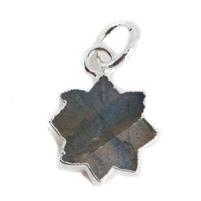 Edelsteen Hanger Labradoriet Zon - 12 mm