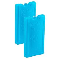 Plasticforte Koelelementen - 4x stuks - 500 grams - 20 x 10 cm - blauw - kunststof