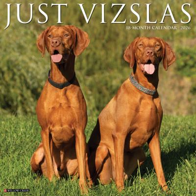 Vizsla Kalender 2026