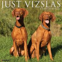 Vizsla Kalender 2026