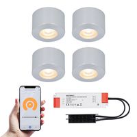 4x Navarra RVS Smart LED Opbouwspots complete set - Wifi & Bluetooth - 12V - 3 Watt - 2700K warm wit - Veranda verlichting - Voor binnen en buiten