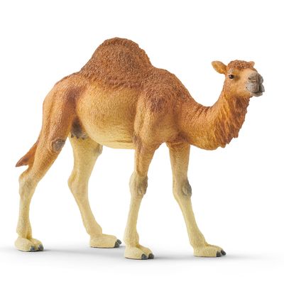 Schleich wild life dromedaris 14832