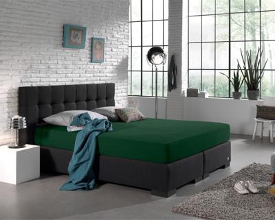 Dreamhouse Enkel Jersey 135 gr. Hoeslaken Botanisch Groen 80/100 x 200
