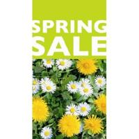 Raambiljet thema SPRING SALE afm 50x94cm