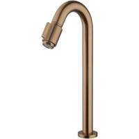 Wiesbaden Victoria Fonteinkraan - Toiletkraan - Koudwaterkraan - XL - 1/2 - Geborsteld Brons Koper