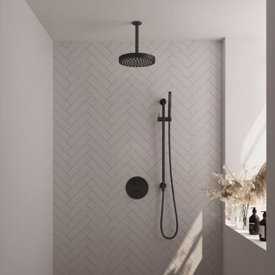 BRAUER Stripe Thermostatische Inbouw Regendouche - 3-weg - rond - SET 45 - 25cm douchekop - plafondarm - staaf handdouche - doucheslang - geïntegreerde glijstang - mat zwart 5-S-453