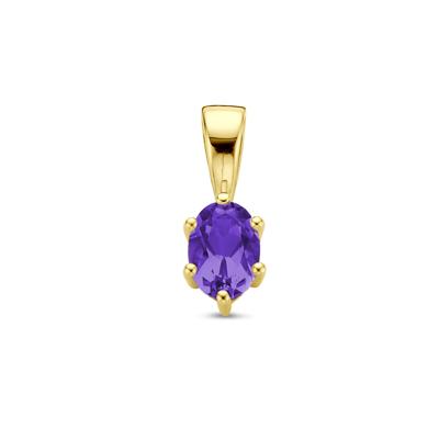 14K Geelgouden Hanger met Februari Geboortesteen - 13x4,5mm
