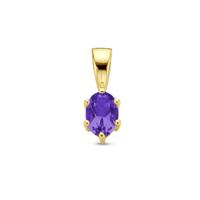 14K Geelgouden Hanger met Februari Geboortesteen - 13x4,5mm