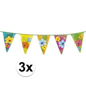 3x Hawaii vlaggenlijnen 6 meter