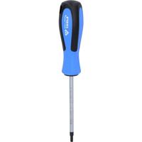 Brilliant Tools BT031014 Torx-schroevendraaier Grootte T 25 Koplengte: 100 mm 1 stuk(s)
