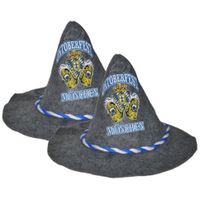 2x stuks grijze Munchen Oktoberfest zeppelhoed voor volwassenen