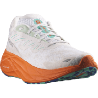 Salomon Aero glide 2 heren - Multi - Heren