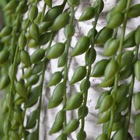 Senecio Pearl kunst hangplant 100cm - thumbnail