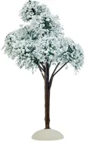 Luville General Mountain pine
