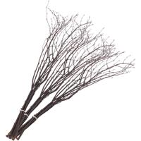 Berkentakken, L: 50-60 cm, 20 stuk/ 1 doos Berkentakken, L: 50-60 cm, 20 stuk/ 1 doos