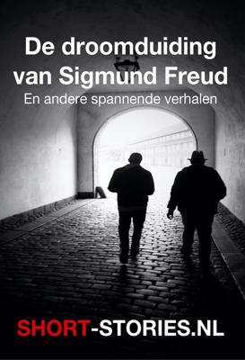 De droomaanduiding van Sigmund Freud - Daniel Stern, John le Carré, Robert van Gulik, Ross Mac Donald, Eugene Lonesco, Guy de Maupassant, Honoré de Balzac, Ell - ebook