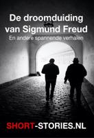 De droomaanduiding van Sigmund Freud - Daniel Stern, John le Carré, Robert van Gulik, Ross Mac Donald, Eugene Lonesco, Guy de Maupassant, Honoré de Balzac, Ell - ebook