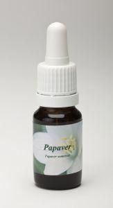 Papaver