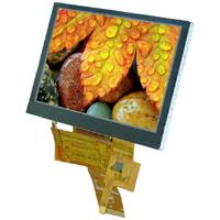 Display Elektronik Grafisch display Wit 800 x 480 Pixel (b x h x d) 120.70 x 75.80 x 4.475 mm