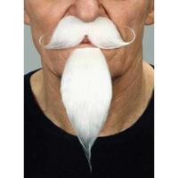 Valse baard My Other Me Wit