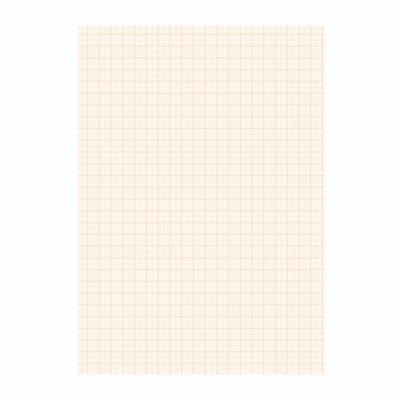 A4 papier met millimeter blokken - 25 vellen - 80 gram - blokjes papier