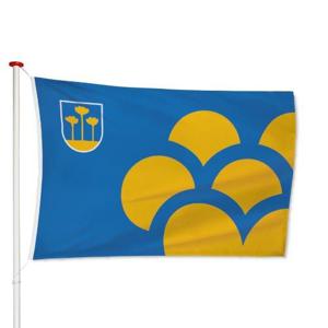 Vlag Zoetermeer